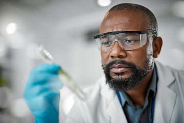 Image showing Scientist face, thinking and test tubes in laboratory pharma, medical science research or gmo food engineering. Zoom, man and biologist with glass equipment in healthcare, sustainability or growth