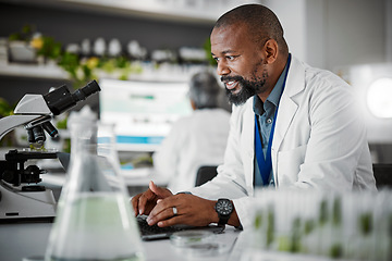 Image showing Happy biologist, laptop or laboratory scientist in plant growth analytics, gmo food engineering or medical research. Smile man, worker or employee and science technology for leaf sustainability study