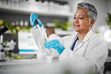 Image showing Plants, test tube and scientist woman with research, exam and solution for leaves in laboratory, eco friendly medicine. Glass, sustainable healthcare study and Pharma growth of senior science expert