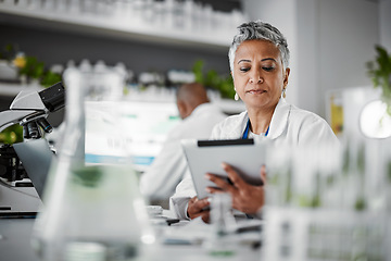 Image showing Woman, reading or tablet in science laboratory in medical research or innovation ideas of genetic gmo engineering. Plant scientist, worker or biologist on technology in growth sustainability thinking