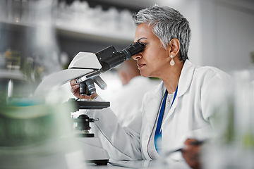 Image showing Scientist, senior woman and lab with microscope, research or plants with particles, pharmaceutical study and focus. Elderly science expert, computer or vision for data analysis for goal in laboratory