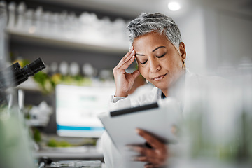 Image showing Headache, stress and scientist woman in laboratory on tablet for plants pharmaceutical research or data results. Mental health, fatigue and burnout senior, science person sad, tired or risk report