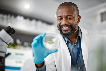 Image showing Scientist, research or leaf sample in laboratory, medical engineering or gmo food analytics for farming innovation. Smile, happy or man with science petri dish in pharma study for climate change data