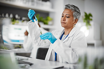 Image showing Plants, test tube and science woman with research, exam and solution for leaves in laboratory, eco friendly medicine. Glass, sustainable healthcare study and pharmaceutical growth of senior scientist