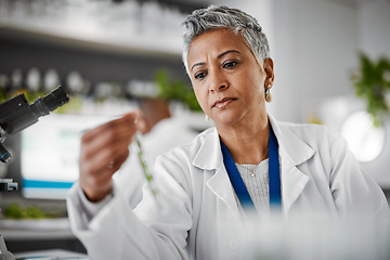 Image showing Plant scientist, thinking or test tubes in laboratory pharma, medical science research or gmo food engineering. Woman, biologist or glass equipment in leaf healthcare, sustainability growth or study