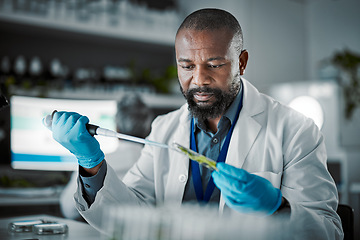 Image showing Plants, laboratory and scientist man with natural exam, leaves solution and eco friendly medicine, research or study. Glass, sustainable healthcare and pharmaceutical growth of african science expert