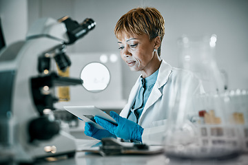 Image showing Senior scientist, black woman or doctor with tablet in science laboratory for DNA research, medical and medicine data analysis. Healthcare or nurse for health cancer innovation or virus test study