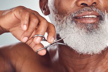 Image showing Black man face, beard with scissors and beauty with grooming and hygiene, shaving zoom isolated on studio background. Senior person skincare, dermatology and body hair removal, hand and clean nails