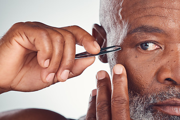 Image showing Grooming, zoom and black man with a tweezers for hair removal isolated on a studio background. Cleaning, beauty and face of an African senior model with a tool for facial care on a grey backdrop