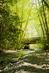 Image showing Olympic National Park