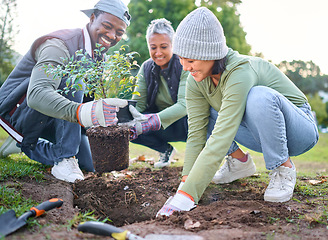 Image showing Plants, community service and volunteering group in park, garden and nature for sustainable environment. Climate change, tree gardening and earth day project for growth, global care and green ecology