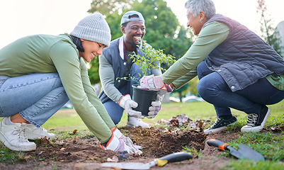 Image showing Tree planting, community service and volunteering group in park, garden and nature for sustainable environment. Climate change, soil gardening and earth day project for growth, care and green ecology