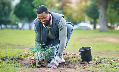 Image showing Community service, volunteering and black man plant trees in park, garden and nature for sustainability. Climate change, soil gardening and agriculture for earth day, growth support and green ecology