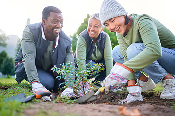 Image showing Gardening, community service and people volunteering in park, garden and nature for sustainability. Climate change, happy team and tree plants in sand for earth day project, growth and green ecology