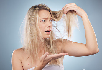 Image showing Hair care, stress and shocked woman in studio isolated on a gray background. Beauty, surprised and female model sad, angry and frustrated with hairloss damage, dry split ends and messy hairstyle.