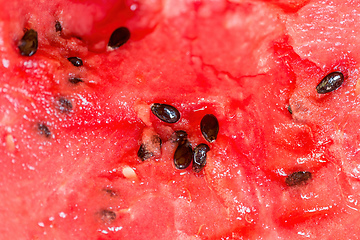 Image showing Fresh juicy watermelon against natural green background