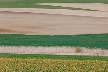 Image showing Beautiful summer rural landscape lines