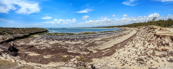 Image showing paradise sand beach in Madagascar, Antsiranana, Diego Suarez