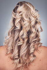 Image showing Curly hair, wellness and woman with healthy hairstyle texture after salon treatment in a studio. Gray background, isolated and model with hairdresser balayage, dye and growth from haircut and keratin