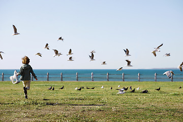 Image showing Playful, back and boy running after birds in a park for freedom, summer and happy in Australia. Holiday, youth and excited child playing on a field by the sea during a vacation with animals in nature