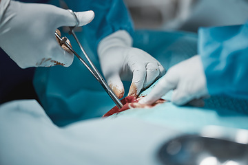 Image showing Surgery scissors, blood and doctor hands tools with medical surgeon at hospital and clinic emergency. Health service, doctors and wellness care of a healthcare worker working on a patient with tools