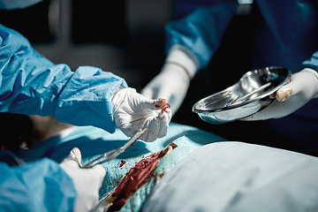 Image showing Surgery team, nurses and doctor hands with medical surgeon scissors for hospital and clinic emergency. Health service, doctors and wellness care of a healthcare worker working on a patient with blood