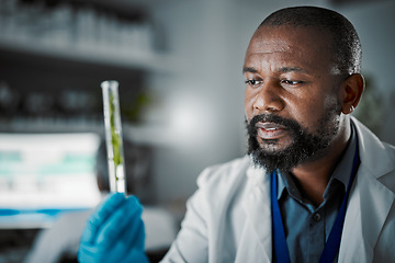 Image showing Black man scientist, test tube and plants in lab analysis, biodiversity study and vision for species conservation. Agriculture science, food security innovation or laboratory research for future goal