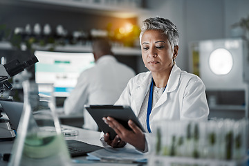 Image showing Senior scientist woman, tablet and lab research at desk with data analytics for future food security, plants and goal. Mature science expert, mobile touchscreen ux or study for agriculture innovation