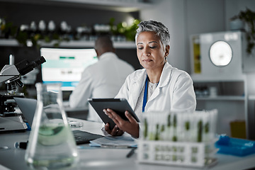 Image showing Woman, thinking or tablet in biology laboratory in plant science, medical research or gmo food engineering. Mature scientist, worker or technology for green sustainability, growth innovation or ideas