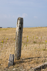 Image showing Post on a beach