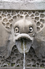 Image showing Fish fountain