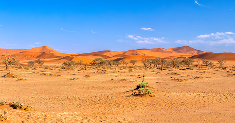 Image showing beautiful Sesriem landscape in Namibia Africa