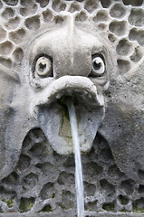 Image showing Fish fountain