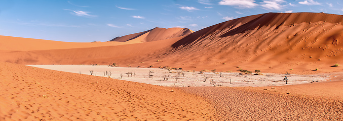 Image showing Dead Vlei landscape in Sossusvlei, Namibia