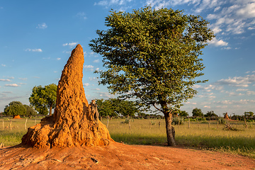 Image showing African landscape, Namibia, Africa wilderness