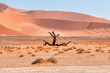 Image showing beautiful Sesriem landscape in Namibia Africa
