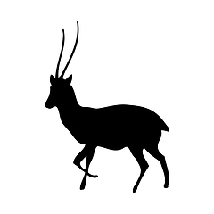 Image showing Chiru Antelope Silhouette