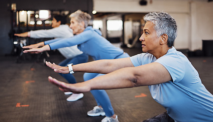 Image showing Teamwork, exercise and senior women stretching arms in gym for flexibility, health and wellness. Sports, training or group of elderly retired female friends workout or exercising together for fitness