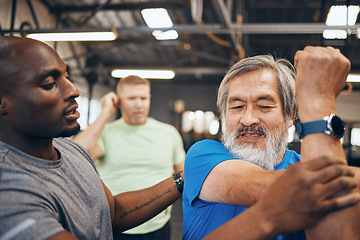 Image showing Fitness, senior man and personal trainer with stretching support, bodybuilder helping and training in gym. Energy, real and elderly asian or people with lose weight community in workout or exercise