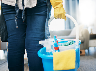 Image showing Cleaning tools, living room and maid hands of a woman in a house with chemical spray in basket. Home, cleaner and house hygiene product of soap for maintenance and service job of housekeeper