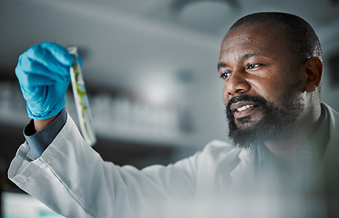 Image showing Black man scientist, test tube and leaves in laboratory analysis, biodiversity study and vision for species conservation. Agriculture science, food security innovation or lab research for future goal