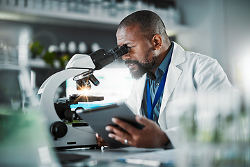 Image showing Black man scientist, microscope and plants in lab analysis, biodiversity study and vision for growth with tablet ux. Agriculture science, studying microbiome and laboratory research for future goal