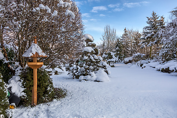 Image showing beautiful winter garden covered by snow