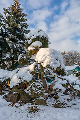 Image showing beautiful winter garden covered by snow