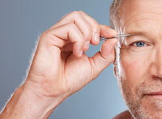 Image showing Eyebrow tweezers, microblading and portrait of man on blue background for wellness, skincare and facial. Beauty, cleaning and face of male with tool for grooming, self care and hair removal hygiene