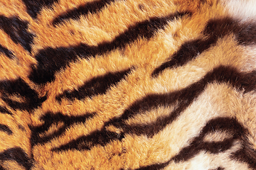 Image showing tiger pelt detail