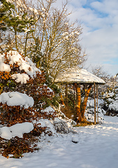 Image showing beautiful winter garden covered by snow