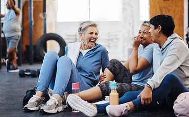 Image showing Gym, laughing and group of mature women telling joke after fitness class, conversation and comedy on floor. Exercise, bonding and happy senior woman with friends sitting chatting together at workout.