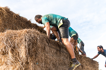 Image showing Athletes overcoming the hay osbtacle