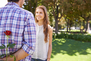 Image showing Surprise, date and man with a rose for a woman in nature for valentines day together in Australia. Love, care and young couple excited during an anniversary with a flower to celebrate in a park